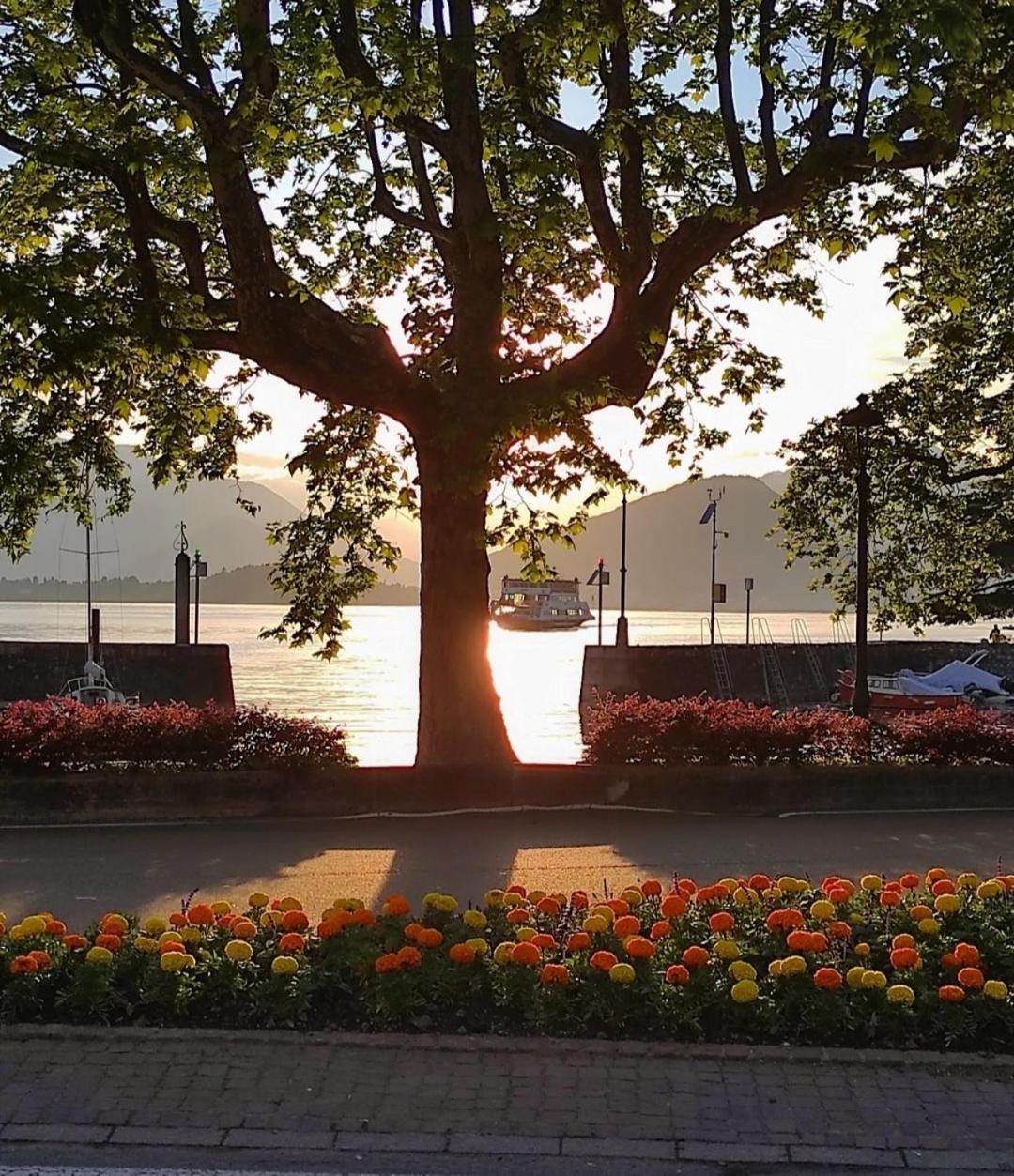 לבנו Lily Lake Maggiore מראה חיצוני תמונה